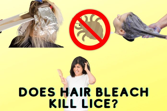 does hair bleach kill lice